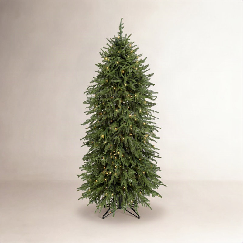 Arbre Norfolk 5 '3m