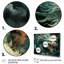 «China Art Jade Dragon I», art mural chinois encadré-878136328-878429468