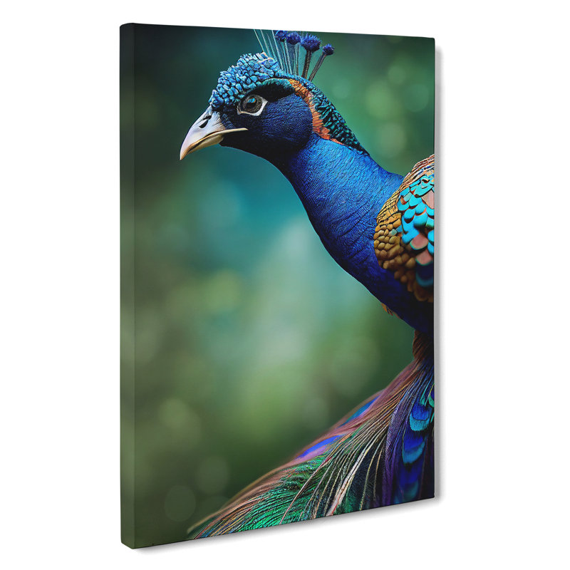 Captivating Peacock - Wrapped Canvas, 50cm H x 35cm W