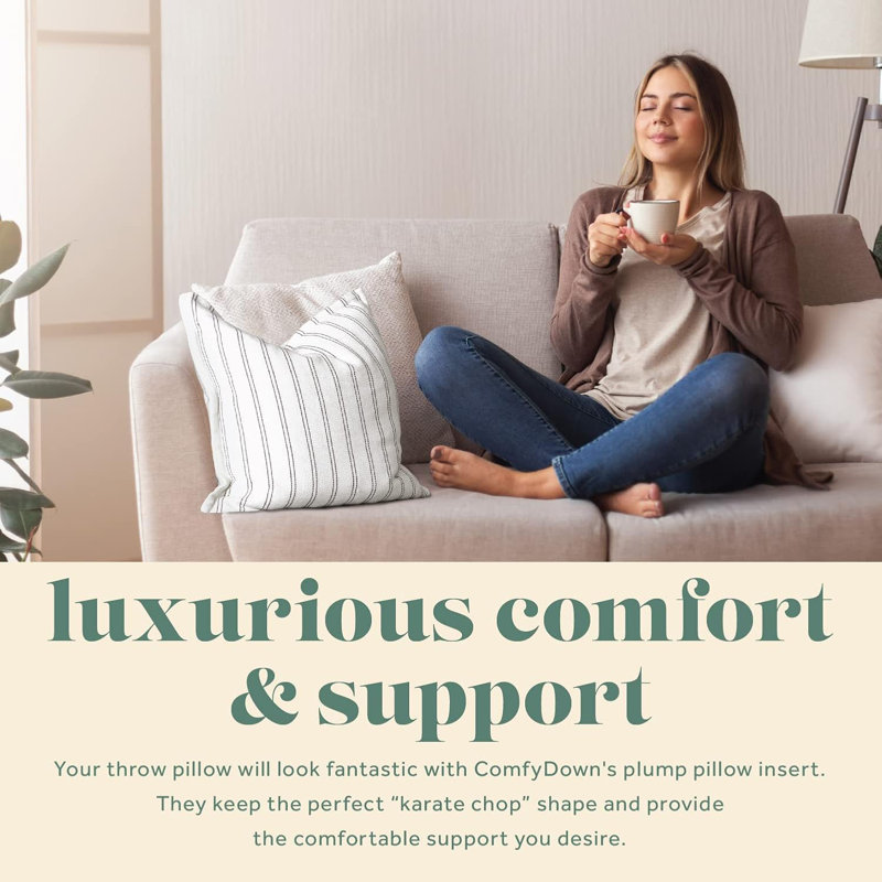Decorative Throw Pillow Insert Down 100% Cotton Cover 233 Thread Count Square Pillow Insert, 26" x 26"