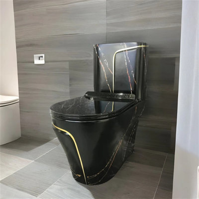 Watermony New Siphon Silent Anti-Odour Black Toilet (Seat Included)