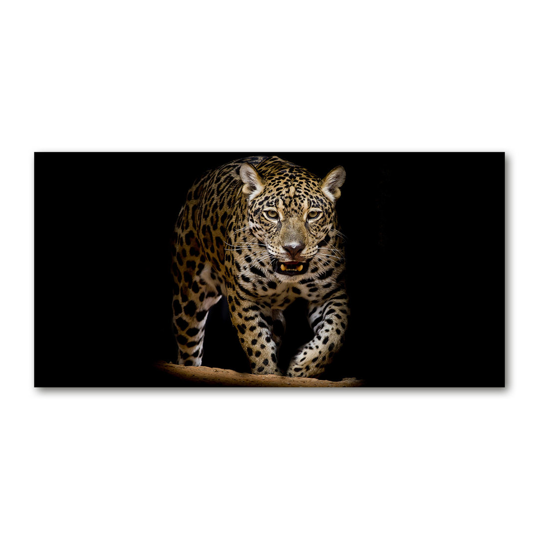 Jaguar - Kunstdrucke auf Leinwand - Wrapped Canvas