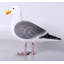 Statue de mouette grandeur nature