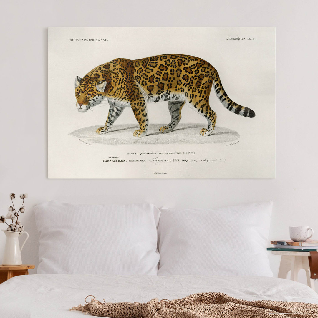 Leinwandbild Vintage Lehrtafel Jaguar