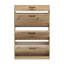 Vasbinder 6 Pair Shoe Storage Cabinet-280881726-300236267
