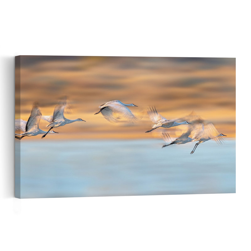 Sunset Crane Flight Dreamy Peaceful Serene Bird Nature Sunset Wall Art Print by Annie Poreider - Print, 101.6cm H x 152.4cm W