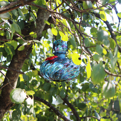 Mangeoire à colibri décanteur Echo Valley 3504a Lunalite - aigue-marine