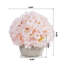 Arrangement floral d'hortensias en pot-1686592749