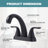 2-handle Bathroom Faucet with Drain Assembly-97804582