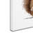 Armand 'Squirrel' Print on Canvas-21647115