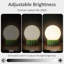 Lampe de table sphérique en verre opale à intensité variable 6,9 po avec base en résine verte et support de lampe E12, certifiée cULus pour les tables de chevet de chambre à coucher, les tables d'appoint de salon, les bureaux à domicile, les entrées, les chambres d'hôtel ou l'éclairage d'ambiance de café-2078206503