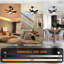 Ceiling Fan with LED Lights-1138392122