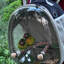 Sac à dos de transport pour petits oiseaux avec support et plateau métallique, sac transparent à bulles pour transporter une perruche calopsitte, noir