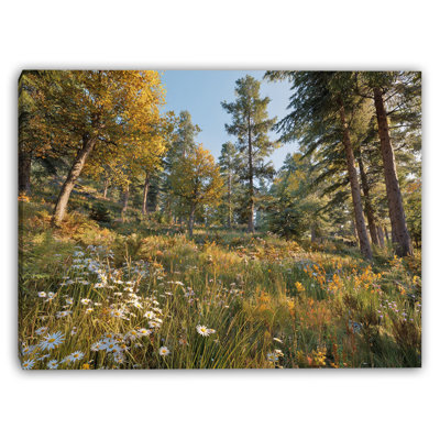 Art mural sur toile Forest Forest