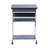 Techni Mobili Graphite Rolling Laptop Cart With Storage, Scratch-Resistant And Locking Casters For Mobility