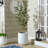 Bryce Large Planter Pot-107563705