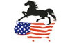 Niturra logo