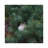 Little Bird In A Big World by Mateusz Piesiak - Floater Frame Print on Canvas-1767237836-1767237682