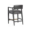 Upholstered Bar Stool-633271186-633271212