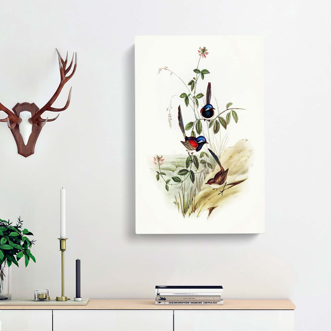 Beautiful Wrens by Elizabeth Gould - Wrapped Canvas
