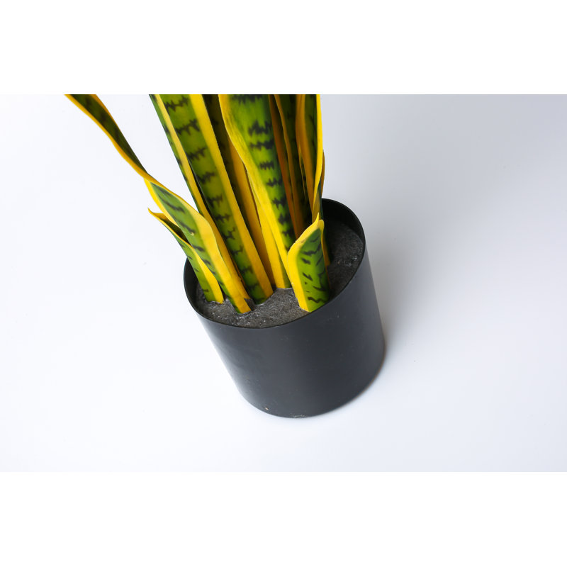 75 cm H Faux Plant in Plastic