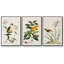Bird in Habitat III, reproduction sur toile 3 pièces-91891697-91891698