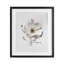 Simple fleur pressée encadrée sous verre, design par lettré et doublé-422187048-422187049