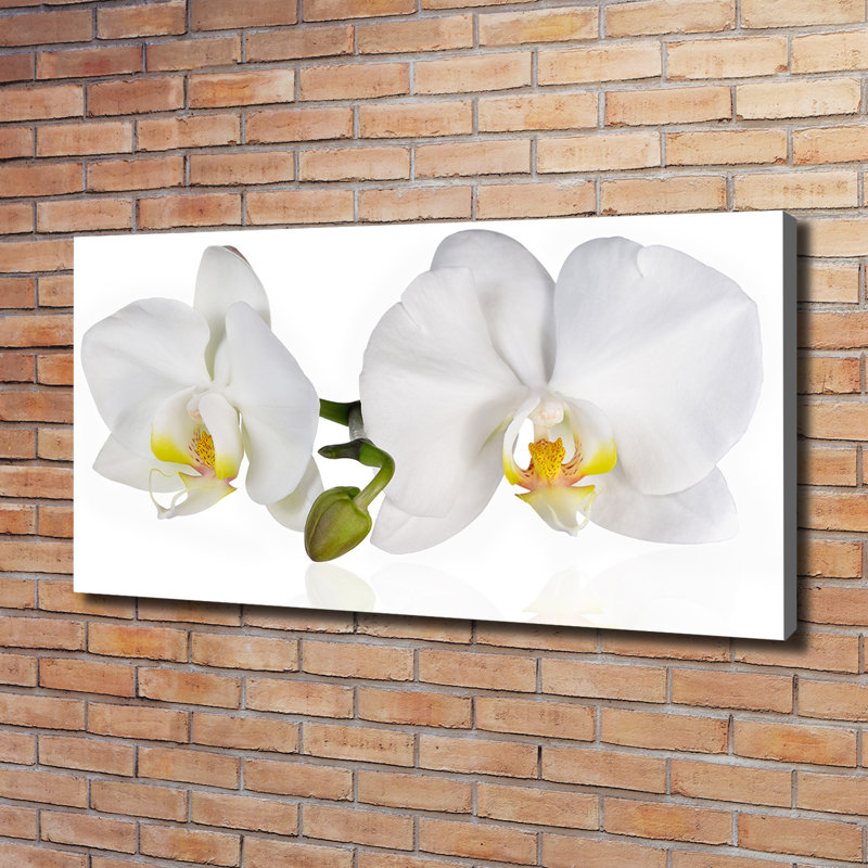 Orchid - Wrapped Canvas Print