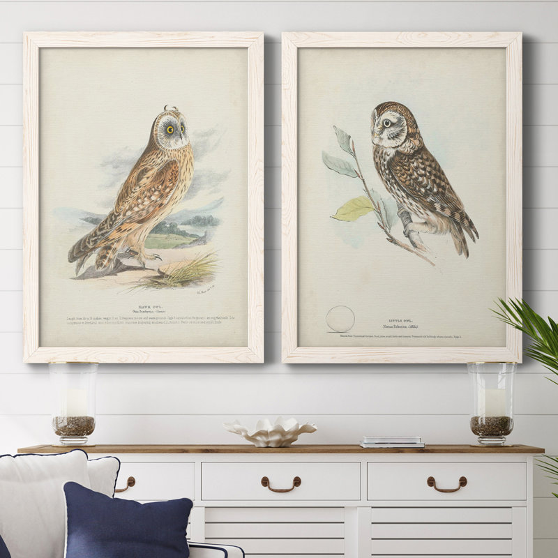 Toile encadrée de qualité supérieure Hawk Owl - prête à être accrochée, H 31,5 po x l 47 po x P 1,5 po