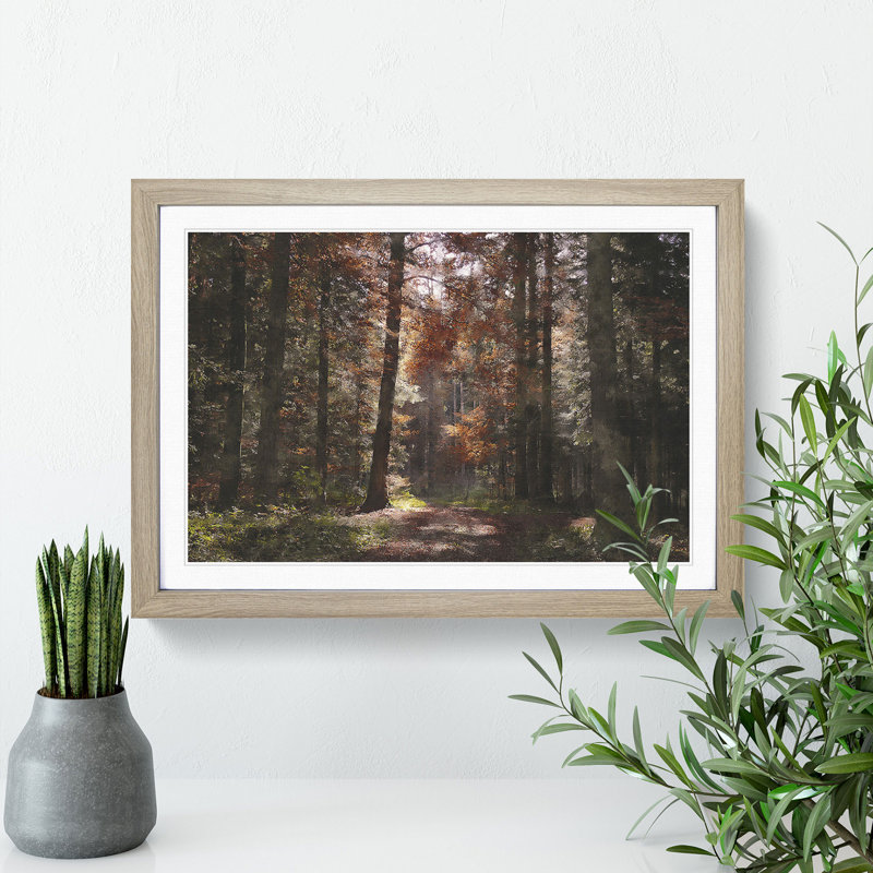 Autumn Forest Vol.4 - Picture Frame Graphic Art, 27cm H x 36cm W x 2cm D, Oak Framed