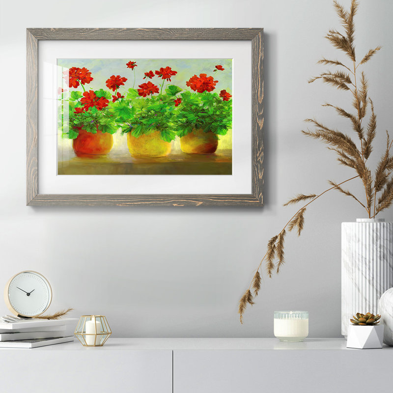 Geraniums III, reproduction d'art encadrée, H 18 po x l 26 po x P 1,5 po, Gris