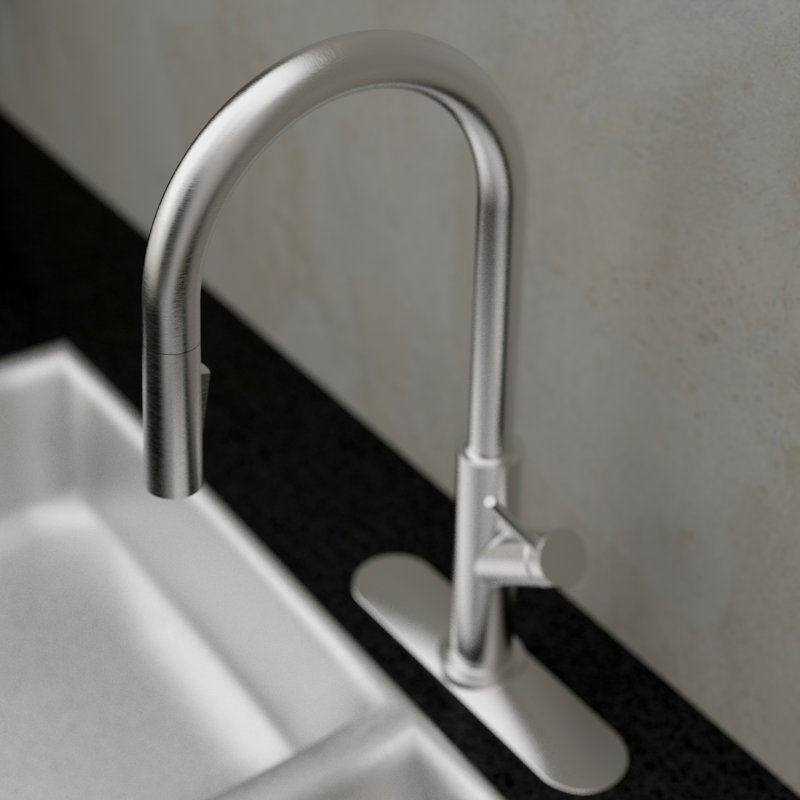 Keeney Pull Down Kitchen Faucet, Stainless Steel