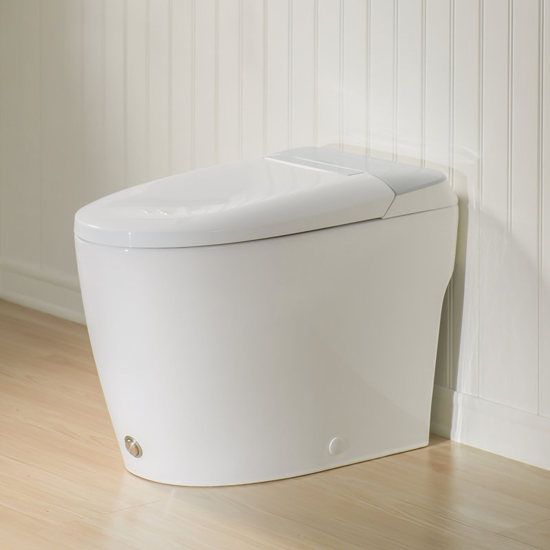 One-Piece Toilet, Non-electric Toilet, Silver