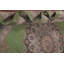 Tapis vert traditionnel 6 x 9