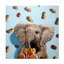 «Feeling Nutty» par Lucia Heffernan, peinture sur toile tendue-1267062399