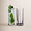Drink Specific Glassware Highball Glass
