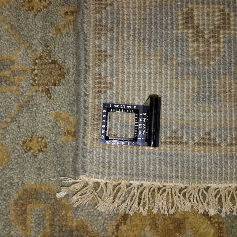 Oriental Area Rug in Blue