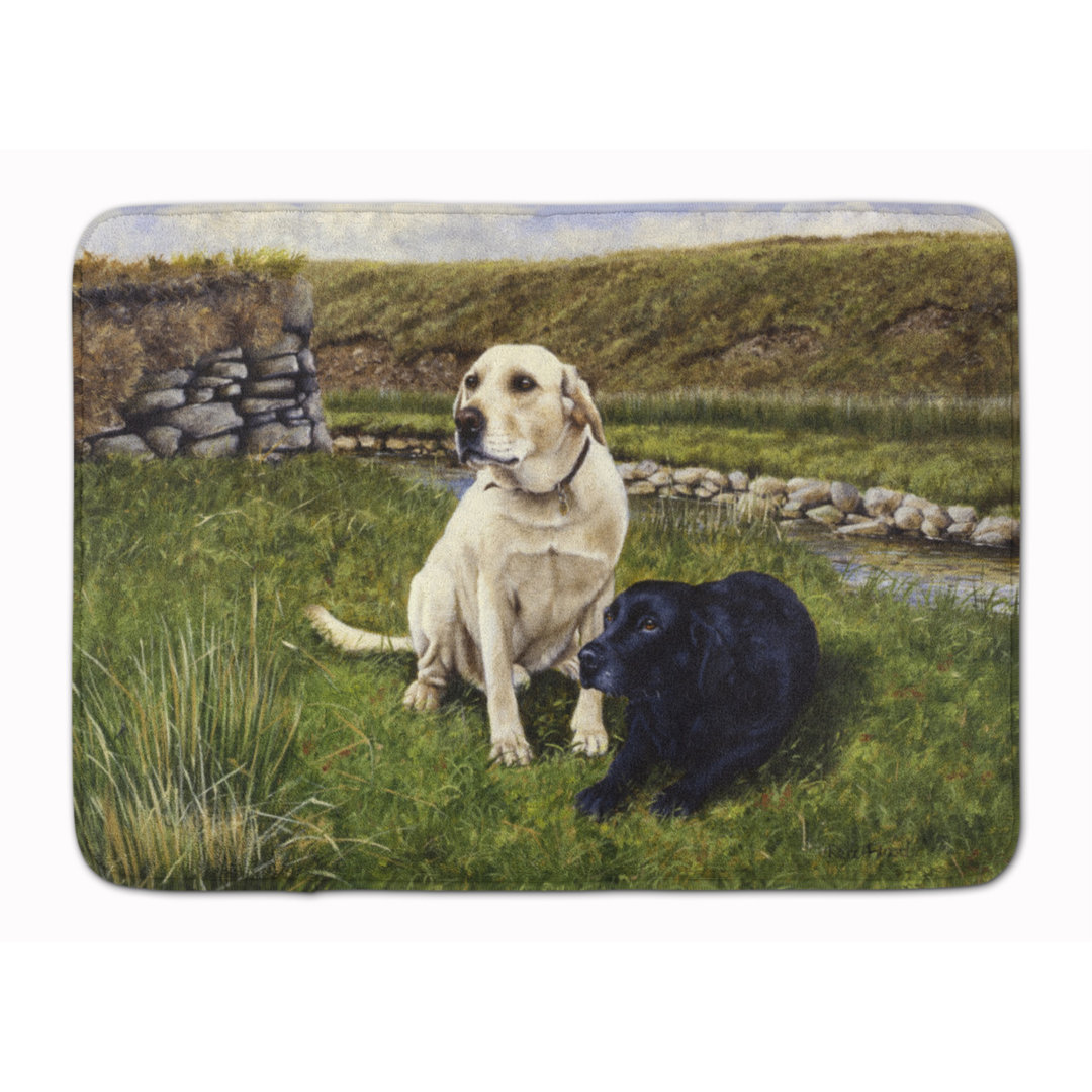 Kildare Memory Foam Non-Slip Bath Rug Red Barrel Studio®