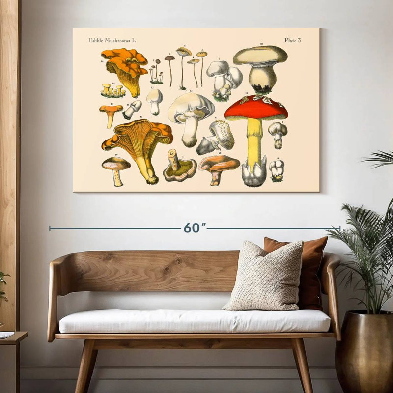 Champignons rétro Yarlin, H 34 po x l 51 po