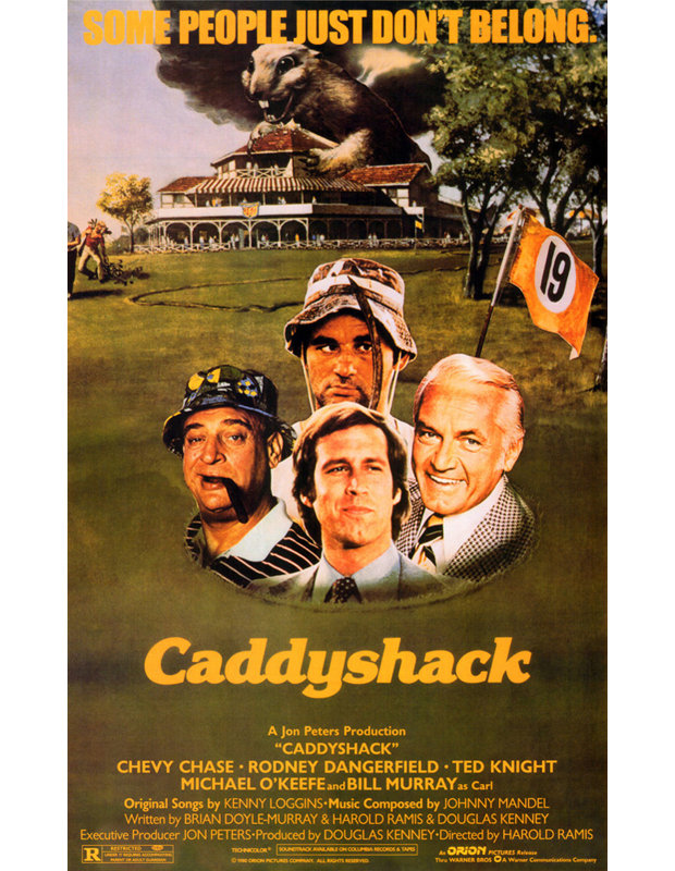 Caddyshack, H 18 po x l 11 po