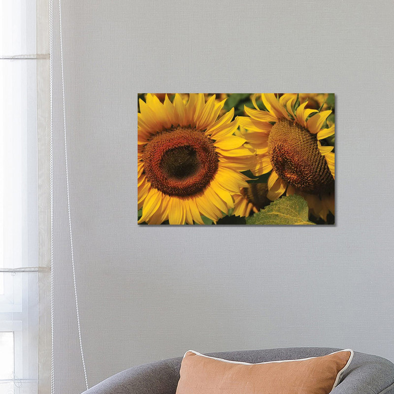 Sunflowers by Brian Wolf - Wrapped Canvas Print