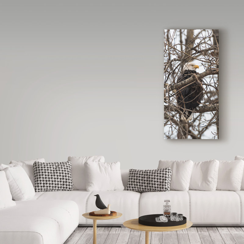 «Bald Eagle and Trees», reproduction de photo sur toile tendue, H 19 po x l 10 po x P 2 po