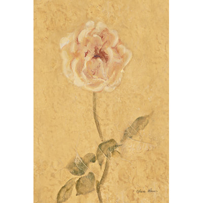 Panneau rose pâle par Cheri Blum