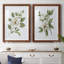 «Magnolia Morning I», reproduction encadrée de qualité supérieure - prête à être accrochée-152898346-152898348