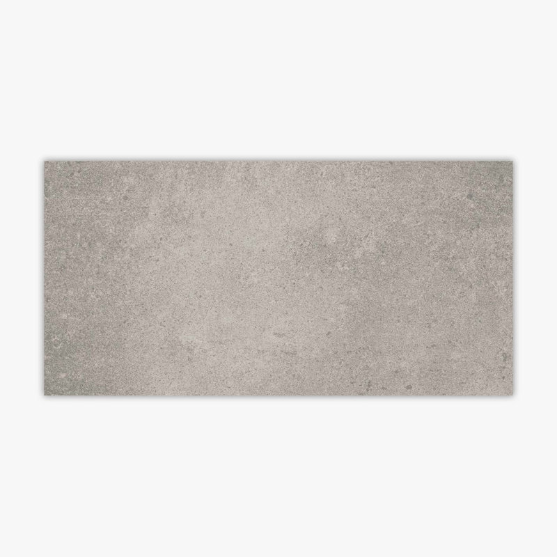 Carreau de porcelaine 12 po x 24 po, Argent mat