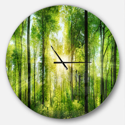 Forêt avec les rayons du soleil - horloge murale moderne
