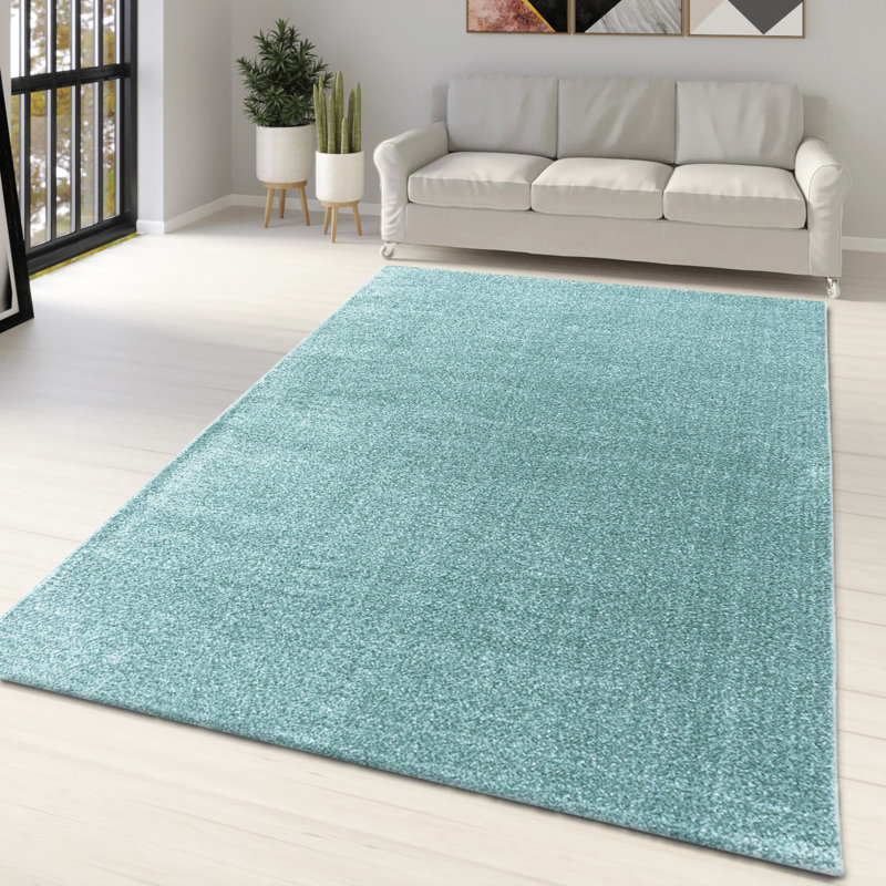 Daebreona Solid Colour Area Rug, Rectangle 80 x 150cm