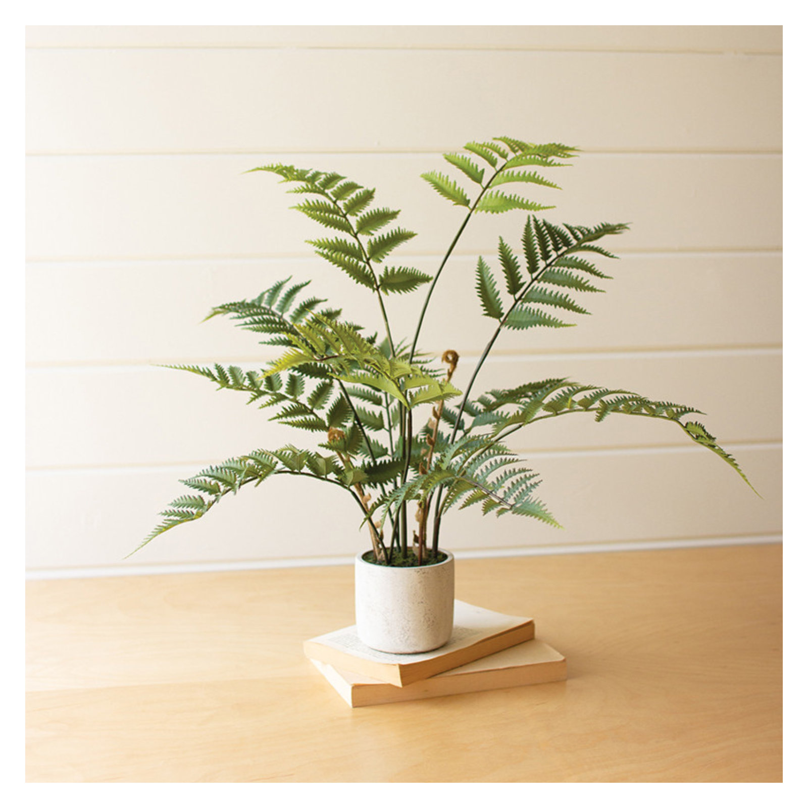 28'' Faux Fern Plant in Cement Pot