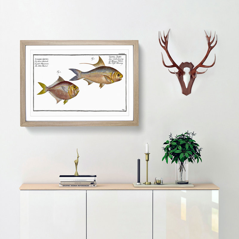 Mackerel and Herring Fish by M.E. Bloch - Framed Print, Oak Framed, 36cm H x 48cm W x 2cm D