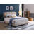 Upholstered Panel Bed-702911475-804951992